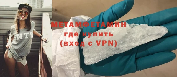 шишки Верея