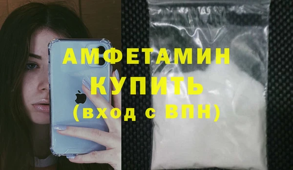 шишки Верея