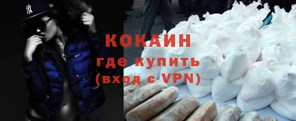 шишки Верея
