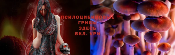 сатива Протвино