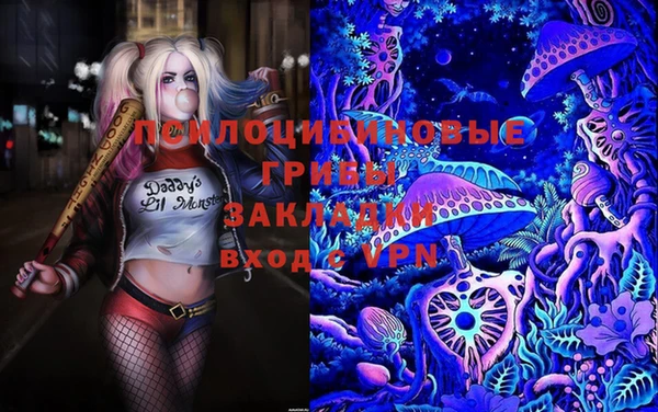 шишки Верея