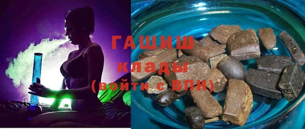 шишки Верея