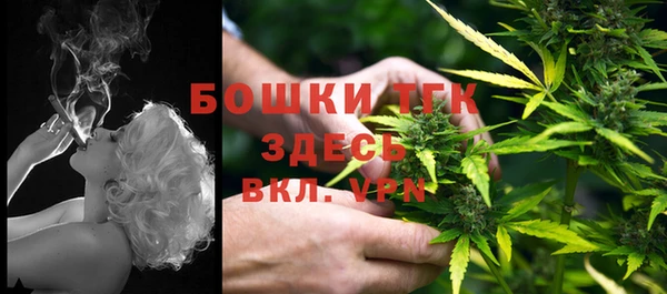 шишки Верея