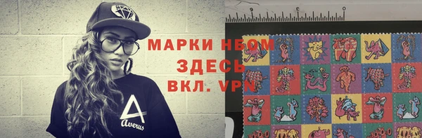 шишки Верея