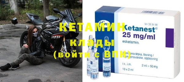 шишки Верея